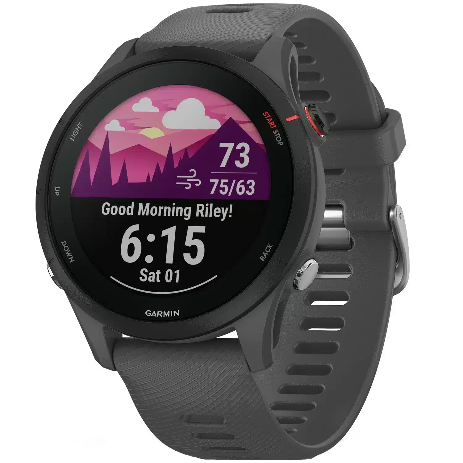Garmin Forerunner 255 Smartwatch, Gris Pizarra, Estado